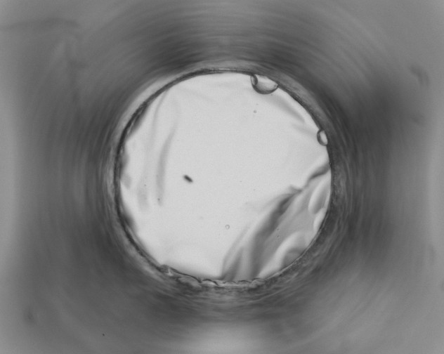 X0000113000959200909241258