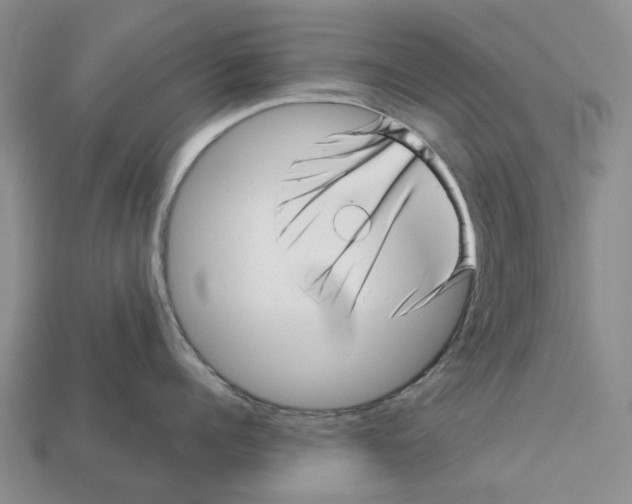 X0000113000960200909241258