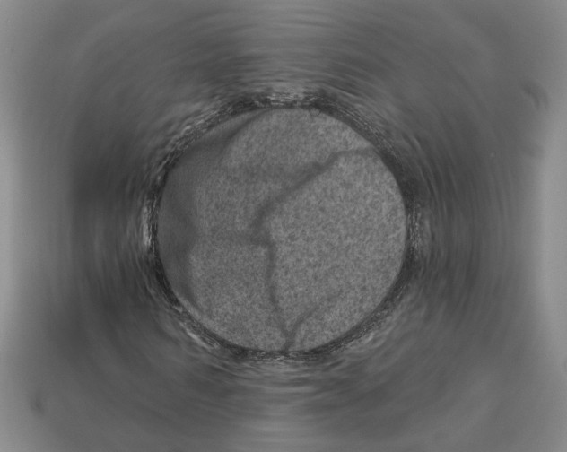 X0000113000962200909241258