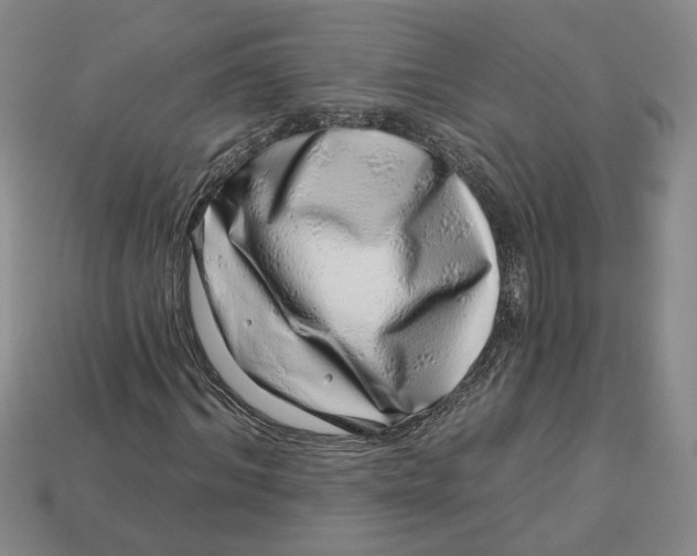 X0000113000964200909241258