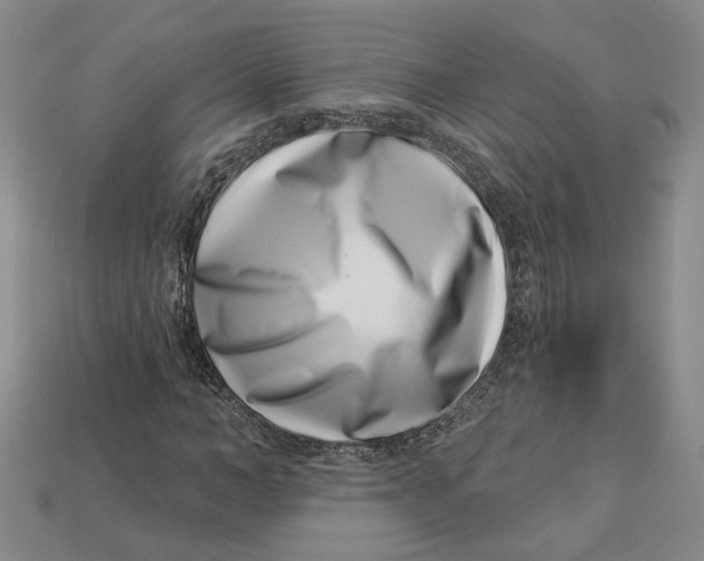 X0000113000966200909241258