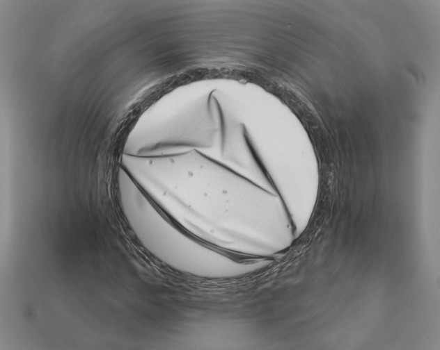 X0000113000968200909241258