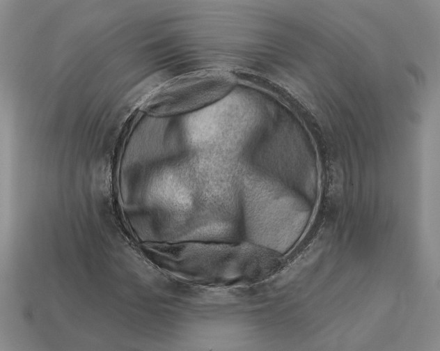 X0000113000969200909241258