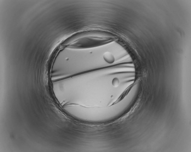 X0000113000973200909241258