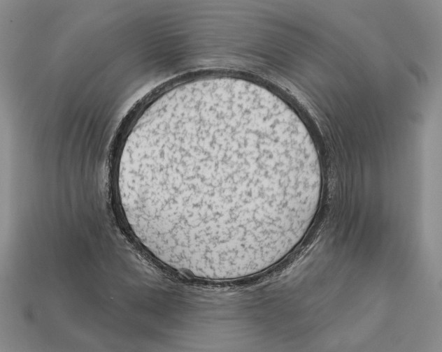 X0000113000975200909241258