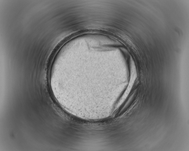 X0000113000976200909241258