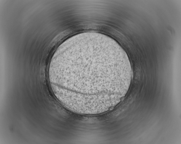 X0000113000978200909241258