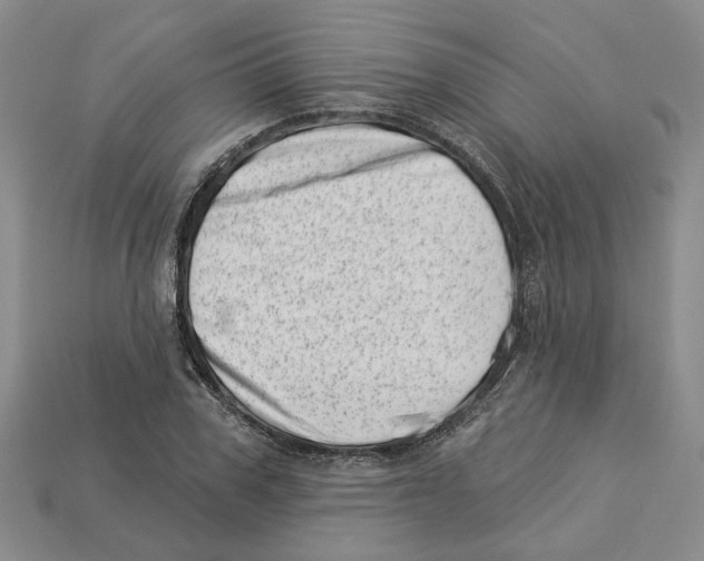 X0000113000979200909241258