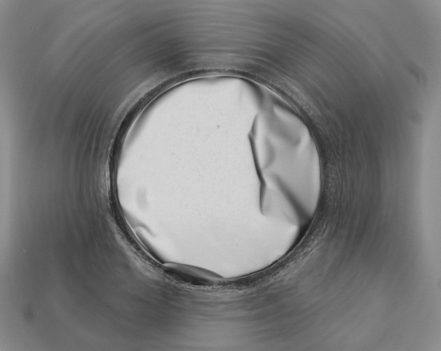 X0000113000980200909241258