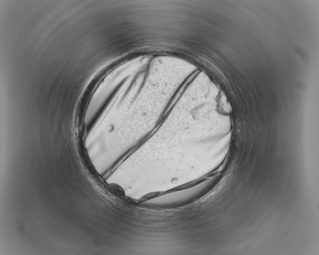 X0000113000981200909241258