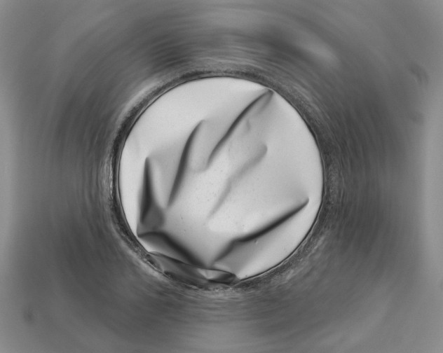 X0000113000982200909241258