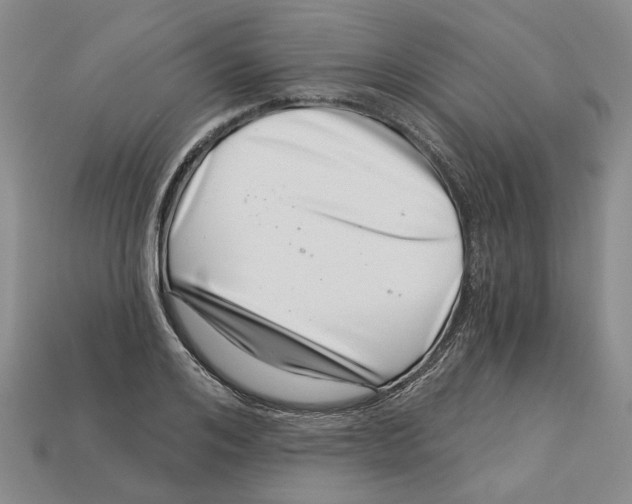 X0000113000984200909241258