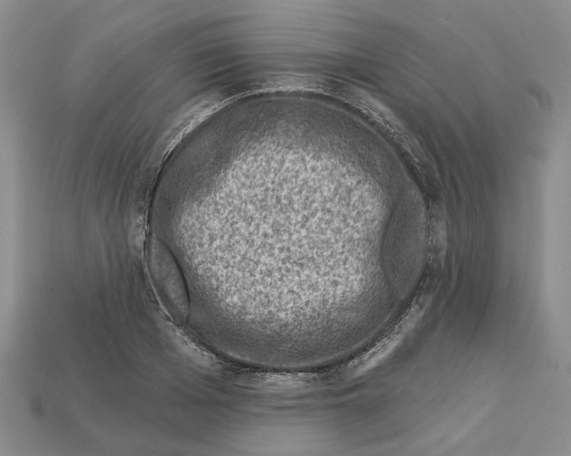 X0000113000985200909241258