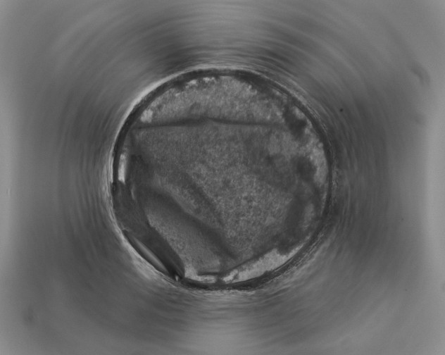 X0000113000988200909241258