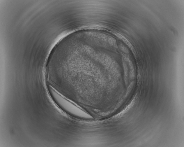 X0000113000989200909241258