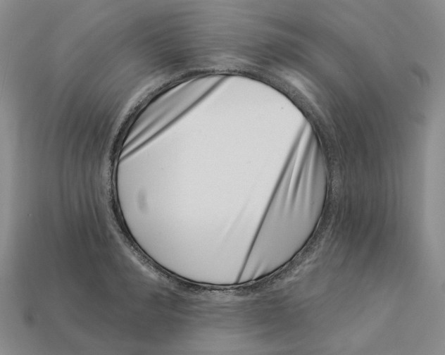 X0000113000990200909241258