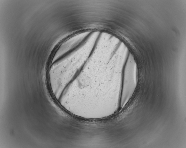 X0000113000991200909241257