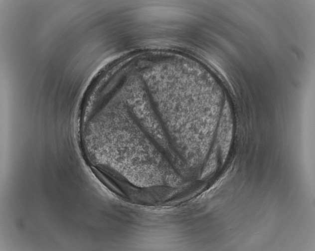 X0000113000992200909241257