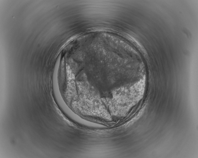 X0000113000993200909241257