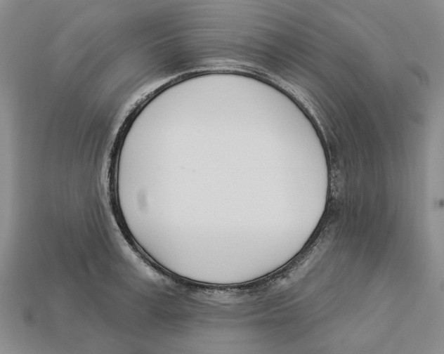 X0000113000995200909241257