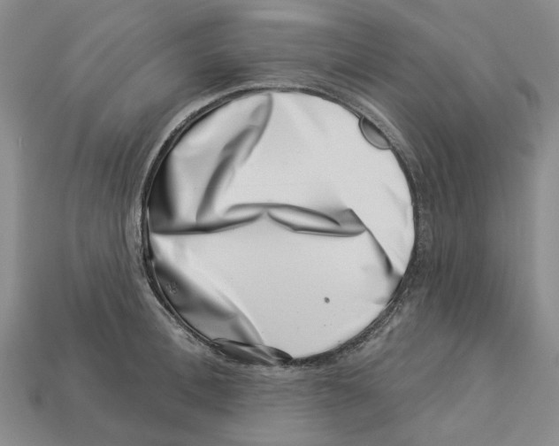 X0000113000996200909241257