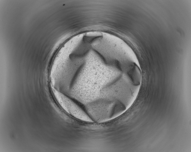 X0000113000998200909241257