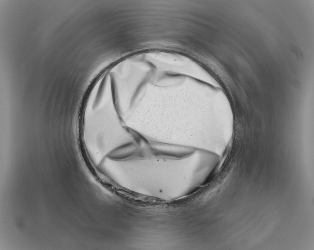 X0000113000999200909241257