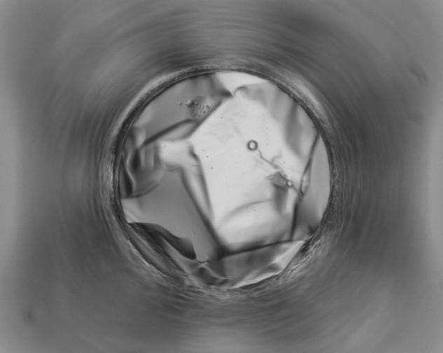 X0000113001000200909241257