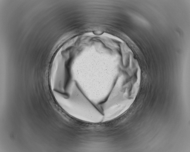 X0000113001002200909241257