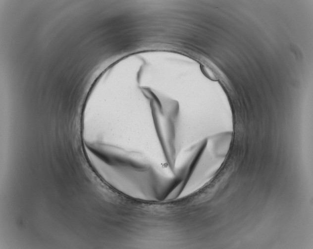 X0000113001004200909241257