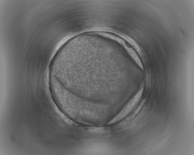 X0000113001006200909241257