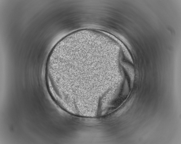 X0000113001007200909241257