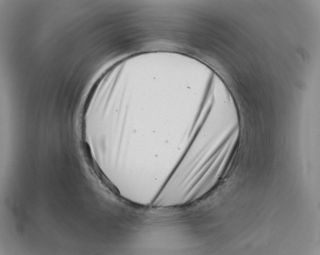 X0000113001008200909241257