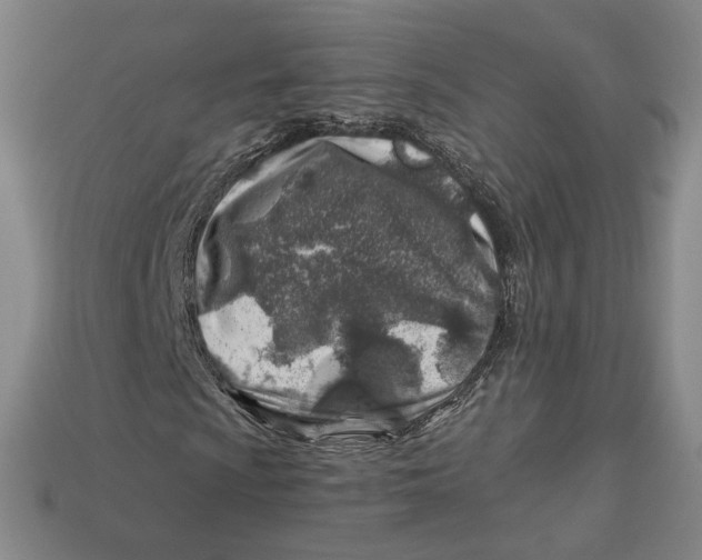 X0000113001009200909241257