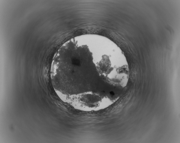 X0000113001010200909241257