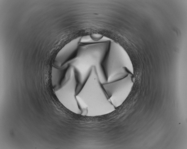 X0000113001012200909241257