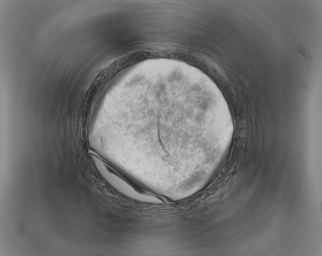 X0000113001016200909241257