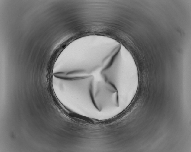 X0000113001018200909241257