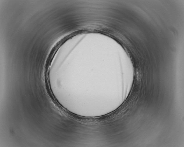 X0000113001020200909241257