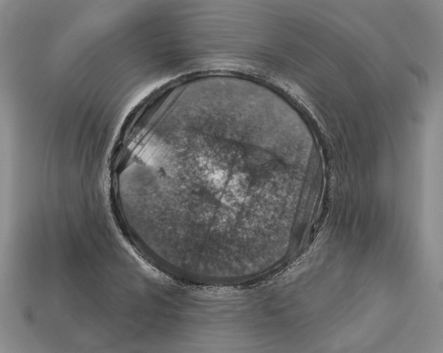 X0000113001024200909241257