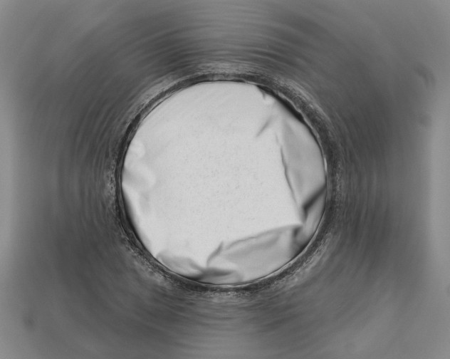 X0000113001025200909241257