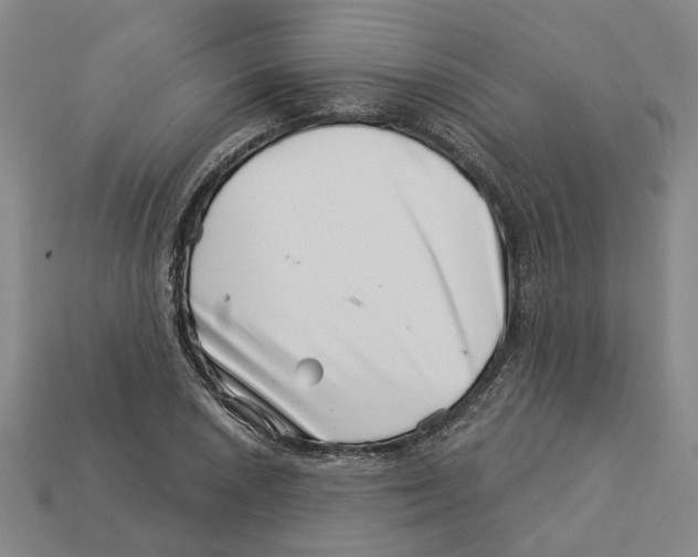 X0000113001026200909241257