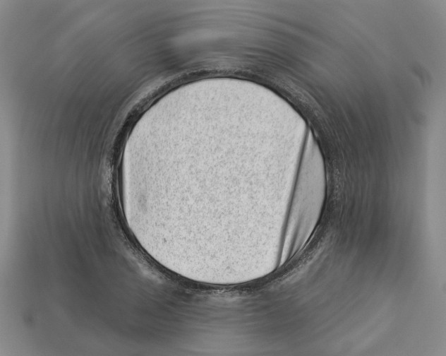 X0000113001029200909241257