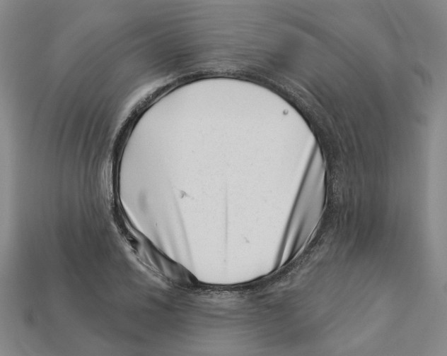 X0000113001030200909241257