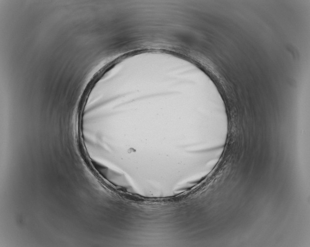 X0000113001032200909241257