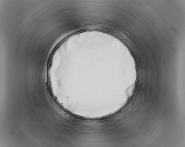 X0000113001036200909241257