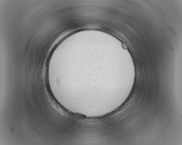 X0000113001044200909241257