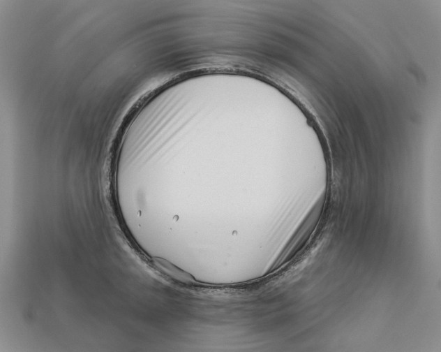 X0000113001045200909241257