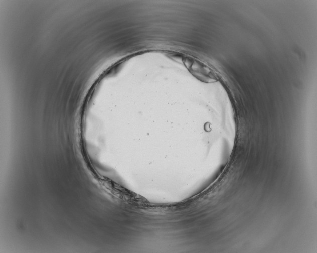 X0000113001048200909241257