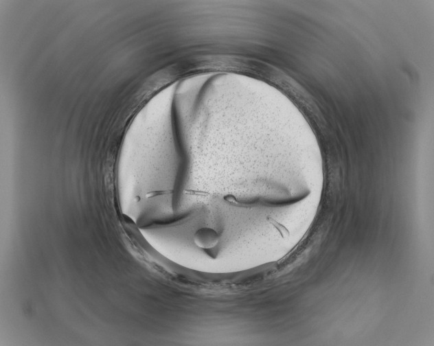 X0000113001049200909241257